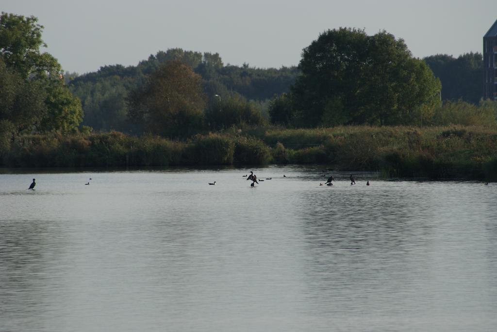 Ecostay De Ijsvogel Kampen Quarto foto